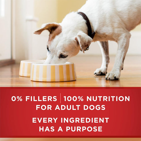 Pack 13 oz. Cans,(Pack 4) Purina ONE Tender Cuts in Gravy Chicken and Brown Rice,and Beef-and Barley Entrees Wet Dog