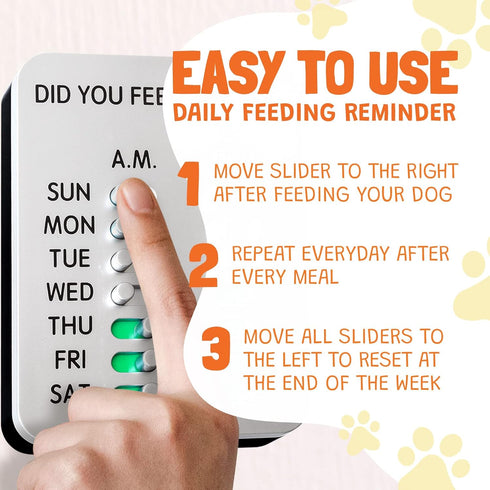 Did You Feed The Dog?
