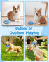 Interactive Dog Toy with Natural Rubber Soccer Design, Dental Care, Pet Energy Relief Brain Teaser Toy, Activity