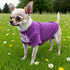 French Bulldog Dog Shirt, Breathable Stretchy T-Shirts for Pets, Medium Puppy Cat Tee Costumes