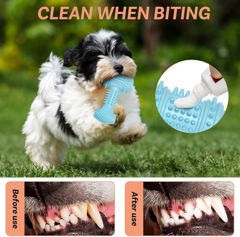 Hammer MiOYOOW Dog Chew Toys, Shaped Dog Toys Puppy Dog Teething Toys for Small Dogs Teeth Dental Oral Care