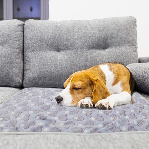 1 Pack 3 Puppy Blankets Fluffy Fleece Warm Sleep Mat with Love Print for Small Dogs & Cats, Mix Love-Small (23"x15")
