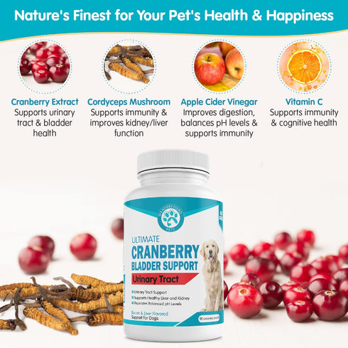 Wanderfound Pets Cranberry Bladder UTI Support Supplement for Dogs - 90 Chewable Tablets, Bacon & Liver Flavor