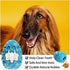 Premium Indestructible Chew Toys for Large Medium Dogs - Durable Interactive Boredom Treat Dispensing Toys for