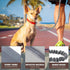 AUROTH Dog Leash for Large Dogs, Heavy Duty Bungee No Pull Leash, Grey Training Leash for Medium Large Breeds, 6FT/4.5FT