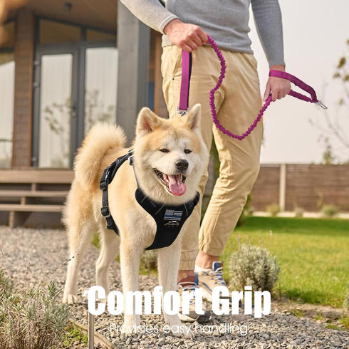BUMBIN 6Ft Bungee Dog Leash for Large Dogs, Heavy Duty with 2 Handles, No Pull Shock Absorbing, Pink