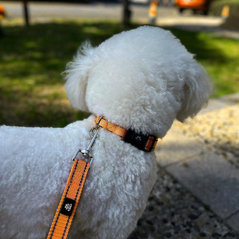 FURRYFECTION Reflective Dog Collar and Leash Set, Quick Release Buckle, Padded Neoprene Adjustable Nylon Collar for