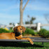 Veehoo Cooling Elevated Dog Bed, Large, Portable Raised Pet Cot, Washable Mesh, No-Slip Feet for Indoor & Outdoor Use