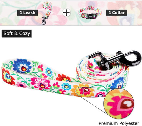 Ihoming Puppy Collar and Leash Set for Daily Outdoor Walking, White Colorful Flowers Design for Extra Small Dogs Cats