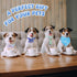 120 Set Summer Reginary Pcs Ocean Animals Dog Bandanas Bulk Dog Bows Bow Ties Cat Scarf Colorful Washable Triangle Pet