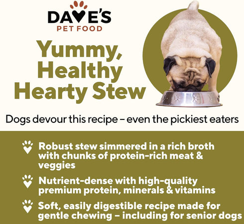 17 13.2 oz (12 Pack) Dave's Pet Food Stewlicious Canned Dog Food with Gravy (Chunky Chicken Stew with Rice Dinner)