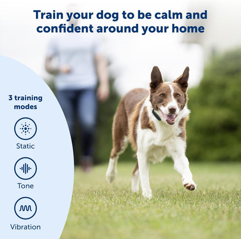 PetSafe Remote Trainer Dog Training Collar, 3 Training Modes: Tone, Vibration, 15 Levels of Static Stimulation,