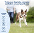 PetSafe Remote Trainer Dog Training Collar, 3 Training Modes: Tone, Vibration, 15 Levels of Static Stimulation,