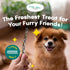 Ocean Tides Braided Icelandic Atlantic Cod Fish Skin Treats for Dogs and Cats - Dried Lean Crunch Sticks Chews