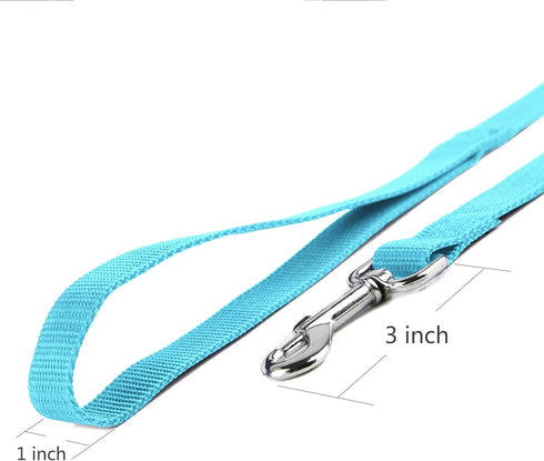 10ft Mint Blue Dog Leash, Long Line Training Leash for Large, Medium and Small Dogs, Great for Parks and Fetch