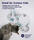 Petstages Nina Ottosson Rainy Day Cat Puzzle & Play + PetSafe SlimCat Food Dispenser