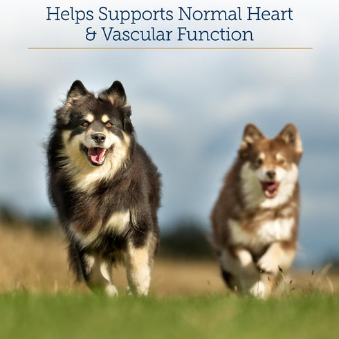 Rx Vitamins Formula CV, Hawthorn Berry Capsules with Taurine for Dogs & Cats - Heart Health Supplements - 90ct