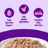 3 oz, Pack 12 Wellness Complete Health Gravies Adult Canned Wet Cat Food, Natural, Protein Rich, Grain Free, Chicken