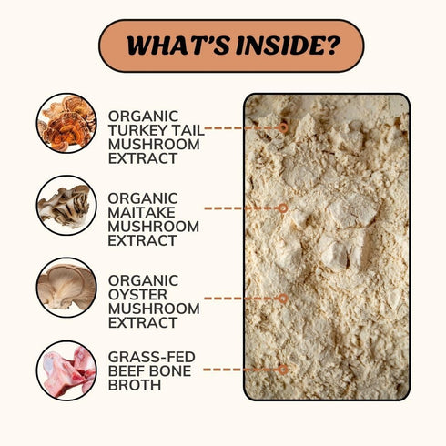 Immune 60 Fido's Longevity Bone Broth for Dogs - Turkey Tail + Maitake Mushroom - Grass-Fed Beef Bone Broth Powder