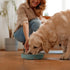 Coomazy Silicone Slow Feeder Bowls, Interactive Puzzle Toy for Dog Cat Food Training, Prevents Overeating (Dark Green,