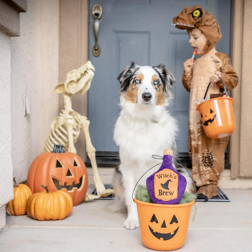 Huxley & Kent Halloween Power Plush Dog Toy, Squeaker Included, Fun and Durable Gift for Dogs, H&K Squeaky Toys