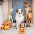 Huxley & Kent Halloween Power Plush Dog Toy, Squeaker Included, Fun and Durable Gift for Dogs, H&K Squeaky Toys