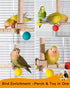 Goodlifebird 360 Bird Perch Toy, Rotating Parrot Perch, Interactive Spinning Bird Cage Toy for Budgies, Cockatiels