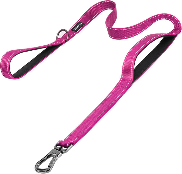 PetiFine 6FT Heavy Duty Dog Leash, Soft Padded Double Handle, Reflective Nylon Walking Lead for Large, Medium, Small