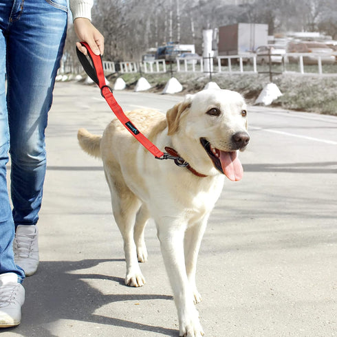 PuppyDoggy 18in Short Dog Leash with Padded Handle, 3 Reflective Threads for Large Medium Dogs, 2 Pack