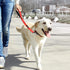 PuppyDoggy 18in Short Dog Leash with Padded Handle, 3 Reflective Threads for Large Medium Dogs, 2 Pack