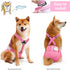 Idepet 3 Pack Female Dog Diapers with Suspender Detachable, Washable Reusable Girl Doggie Diapers for Small Medium