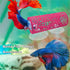 Bingche 8pcs Hammock Betta Fish Tunnel Hollow Hideout Cave Resting Tube Tank Aquarium Decor for Small Shrimp