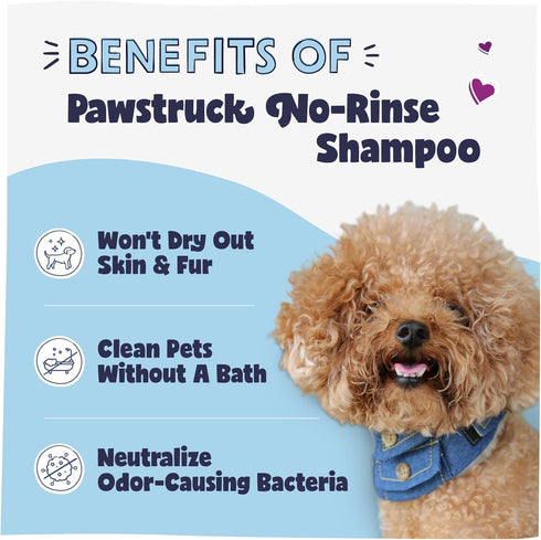 Pawstruck Natural No-Rinse Dry Shampoo for Dogs, Citrus & Rosemary Waterless Deodorizing Spray - 16 fl oz