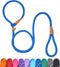 5 FT Slip Lead Dog Leash, Heavy Duty Rope for Small Medium Large Dogs, No Pull Training Lead with Reflective Thread,