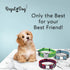 Regal Dog Products Large Pet Collar with Custom Engraved Buckle | Durable Twill Collars for Small Medium Large Dogs