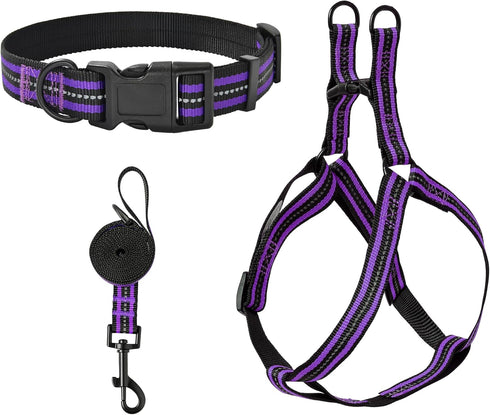 Mile High Life Night Reflective Double Adjustable Band Nylon Dog Combo Collar Leash and Harness Set, Purple, Large