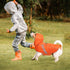 VIVAGLORY Dog Raincoat for Medium Dogs, Lightweight Reflective Safety Vest Jackets for Adventures, Orange