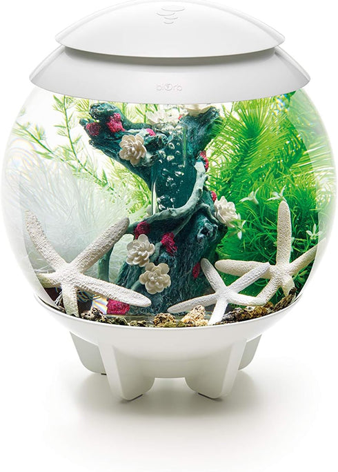 BiOrb 15L Flower Garden Decor Set