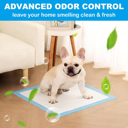 100 Count 23.6x23.6 6 Disposable Puppy Pads, in, Layer Pee Pads for Dogs,Super Absorbent Diaper Changing Pad, Dog Potty