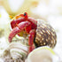 VOBRAMY 4PCS (2 1", 2"-3" Natural Hermit Crab Shells Types) | Opening Size Approximately Seashell Size: | Good