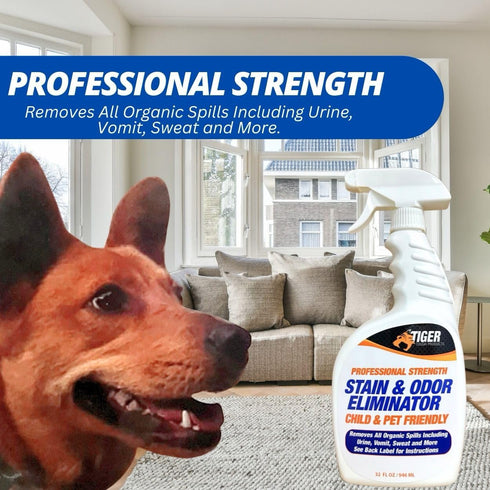 Pet Stain and Odor Remover - Enzyme Cleaner for Home & Professional Use, Stain Dissolver for Carpet, Upholstery, & More - Dog & Cat Urine, Feces, Vomit Eliminator, 32 Ounce Spray