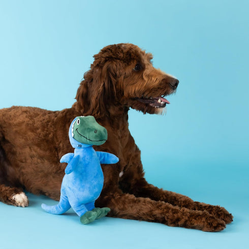 Fringe Studio Dog Plush Pet Toy, Feelin’ Jawsome! (289626), Medium, Multicolor, with Squeaker for All Breed Sizes