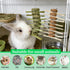 Jwizyotr 2 Chinchillas Rabbit Chew Toys for Teeth PCS Guinea Pig Chews Treats Rat Cage Accessories with Papaya Stems