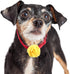 Leinuosen 20 Pcs Flower Charms for Dog Collar, Multi Color Bow Tie for Cat Puppy Dog Grooming Accessories