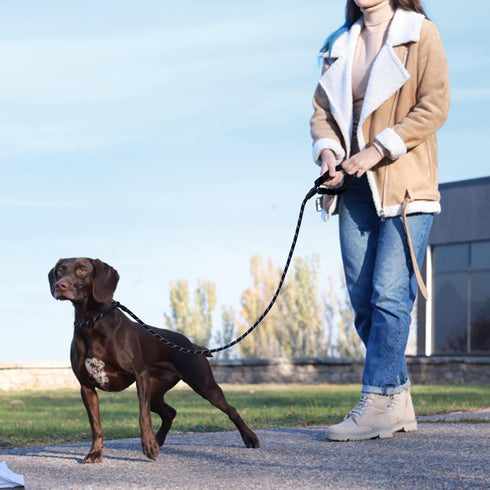 Slip Leads Dog Leash, 4/5/6 FT with Comfortable Handle, Heavy Duty Reflective Rope Training Leash (1/2''- 4FT, Black)