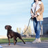 Slip Leads Dog Leash, 4/5/6 FT with Comfortable Handle, Heavy Duty Reflective Rope Training Leash (1/2''- 4FT, Black)