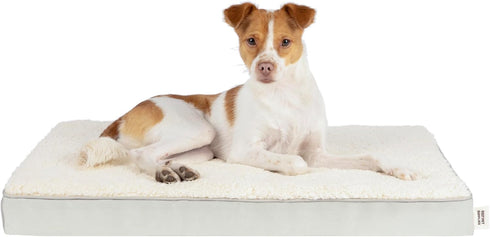Best Pet Supplies Cute Dog Bed Mat, Waterproof Exterior, Thick Orthopedic Egg Foam Fill, Beige, 41X29X4