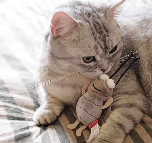 Gigwi Interactive Cricket Cat Toy, Automatic Squeaky Toy for Cats, Play and Squeak Electronic Cricket