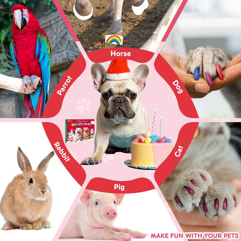 12-Color MSDADA Quick-Dry Dog Nail Polish Kit Safe Polish Pens for Puppy Nail Art & Paw Care Easy-Apply, Odorless