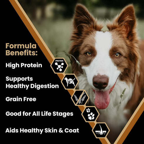 Victor Super Premium Grain Free Dog Food, Chicken Meal & Sweet Potato Recipe, High Protein, 5 lb